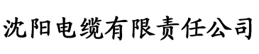 夏晴子中秋大作战活动方案电缆厂logo